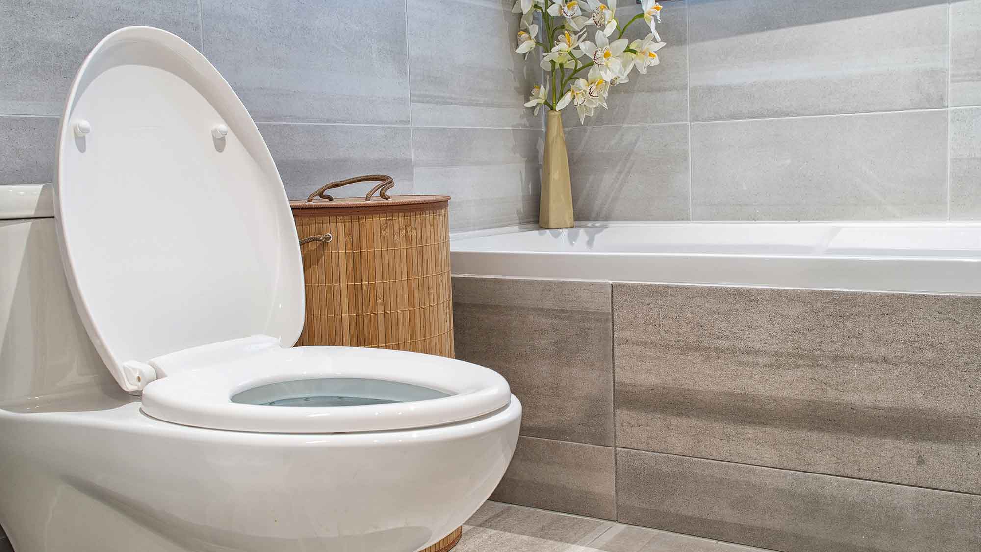 blocked toilet repair essex maintenance leigh on sea bathroom